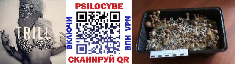 Галлюциногенные грибы MAGIC MUSHROOMS  Зуевка 